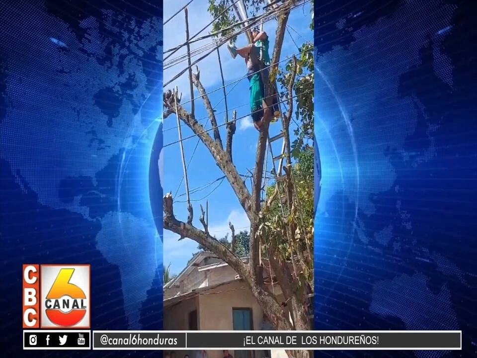 Un Fallecido Electrocutado Reporta El Cuerpo De Bomberos Durante El Fin De Semana